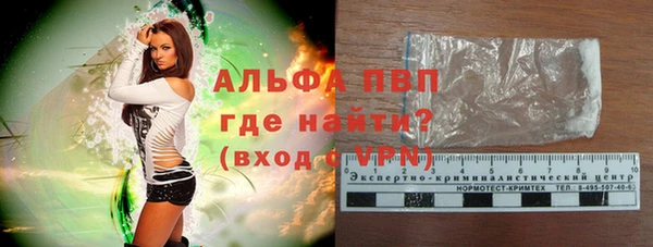 стафф Корсаков