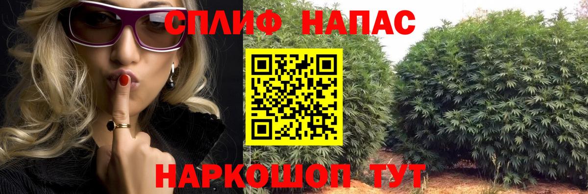 Бошки марихуана White Widow  МАРИХУАНА гибрид  Канабис конопля  Вход с VPN  Марихуана Amnesia  Лобня 